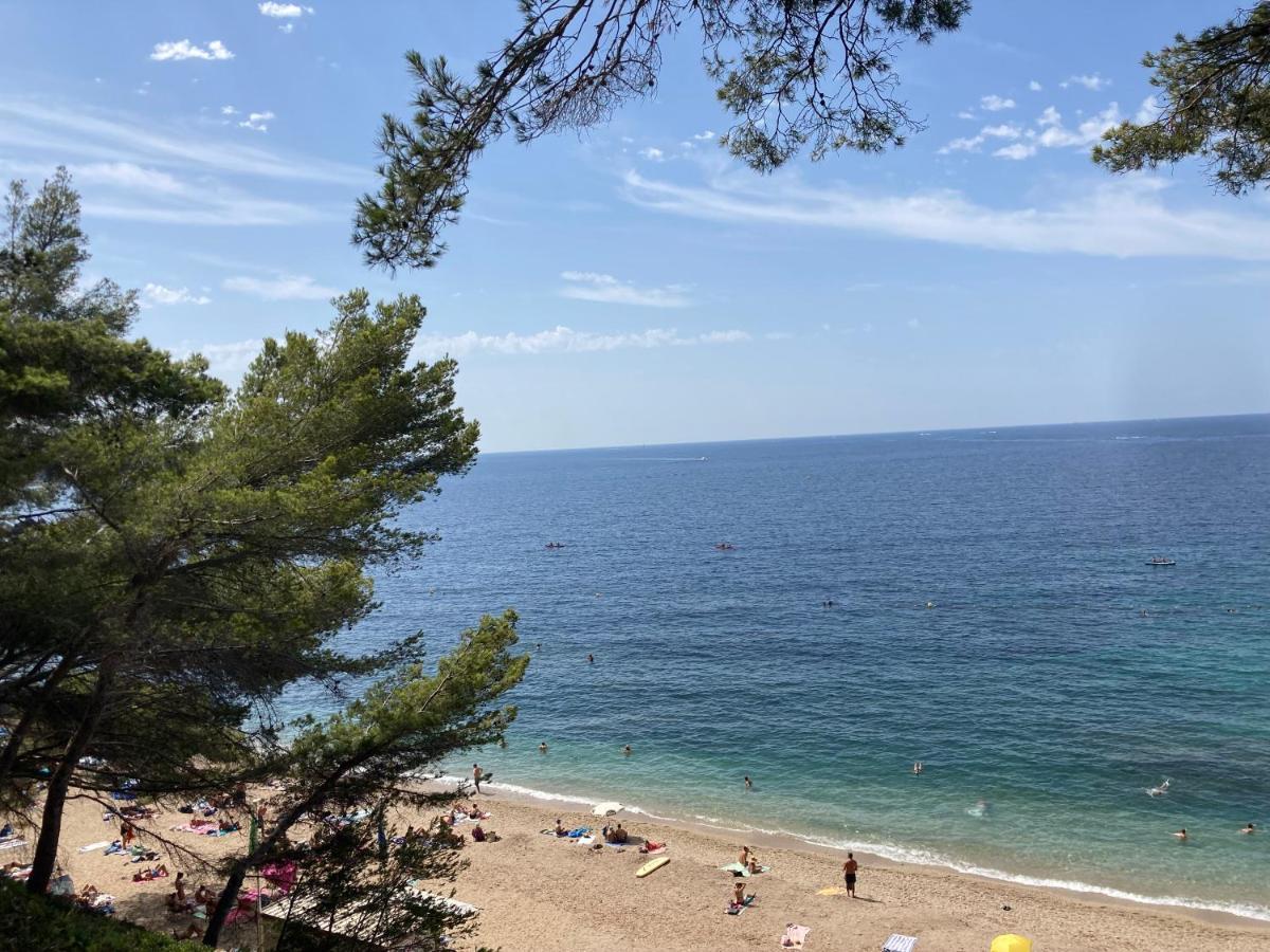 Haut De Villa Avec Terrasse Privative Jardin Et Parking Tout Pres Des Plages Тулон Екстериор снимка