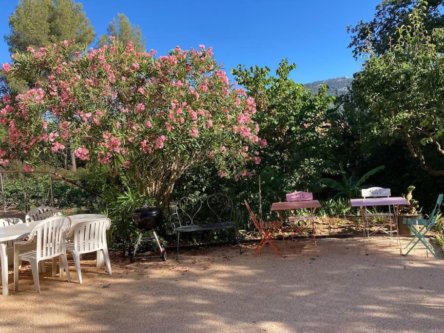 Haut De Villa Avec Terrasse Privative Jardin Et Parking Tout Pres Des Plages Тулон Екстериор снимка