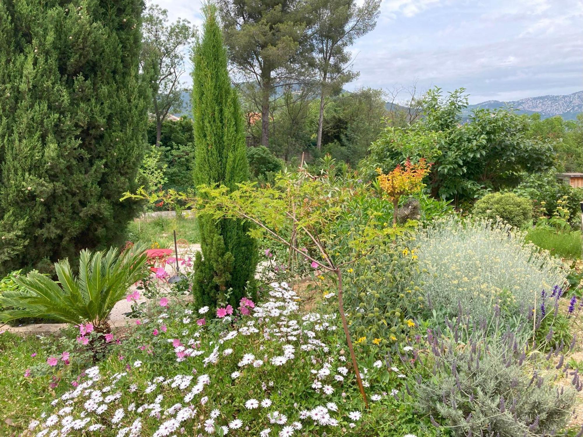 Haut De Villa Avec Terrasse Privative Jardin Et Parking Tout Pres Des Plages Тулон Екстериор снимка